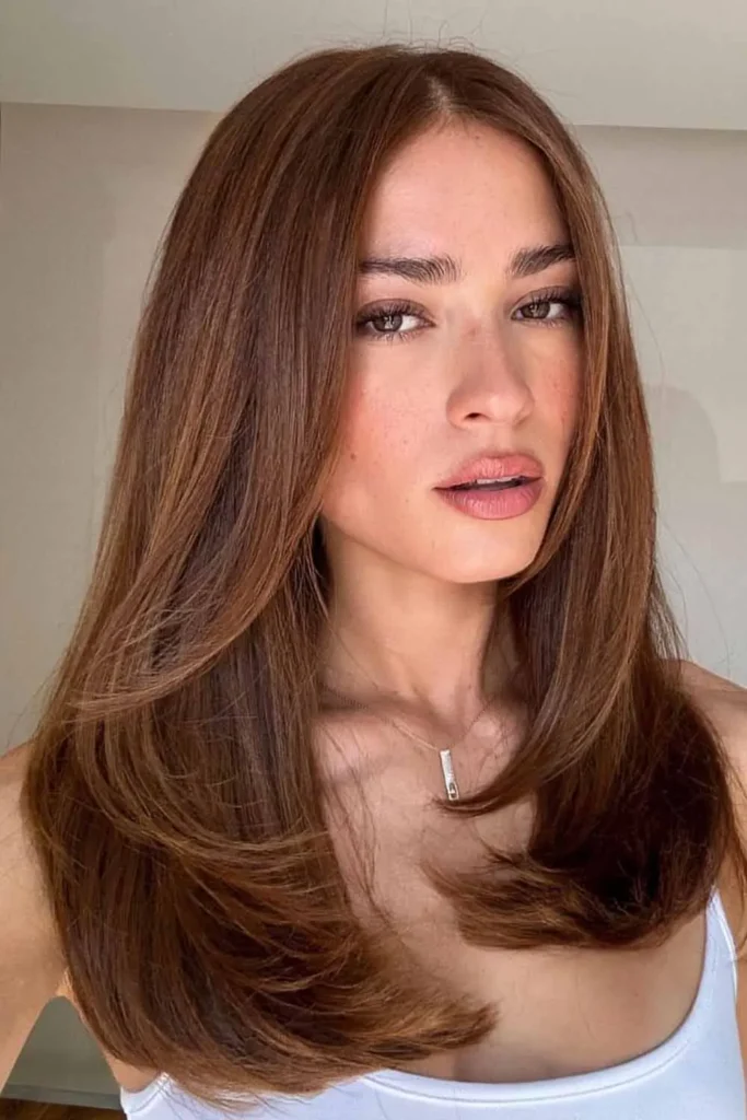 Classic Long Layers Hairstyle