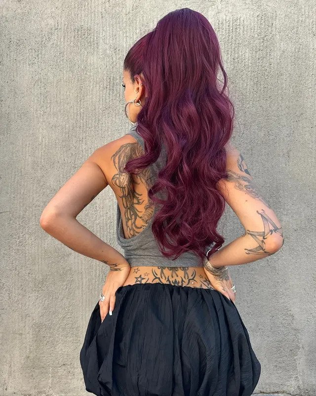 Sleek Wine Red Ponytail