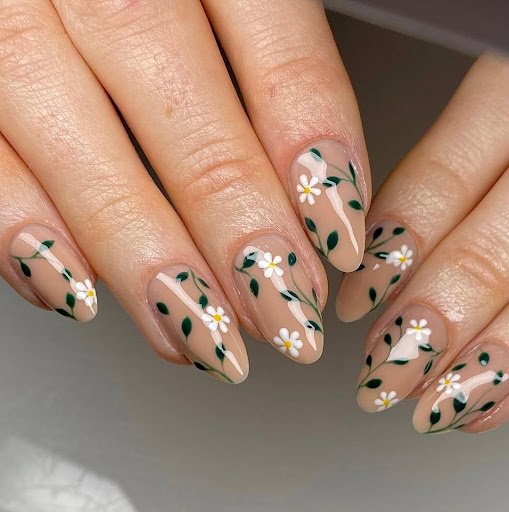 Spring Daisy vines