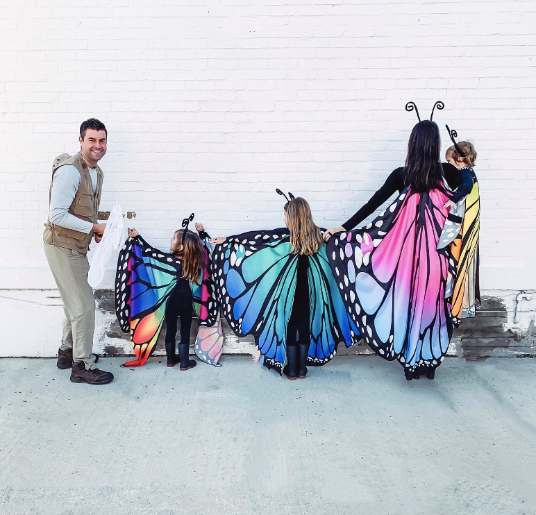 Butterflies and Catcher