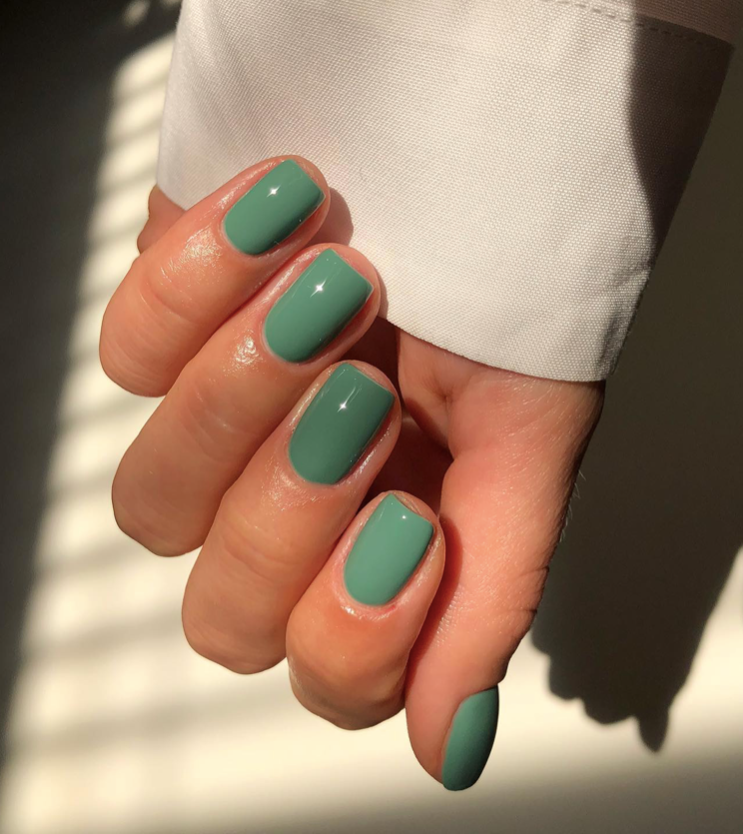 Glossy Sage Shade