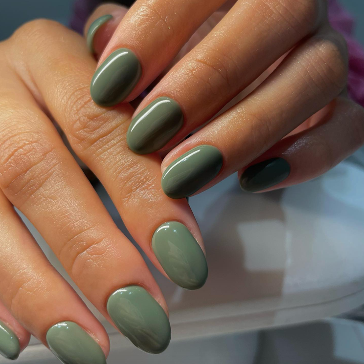 Glossy Sage